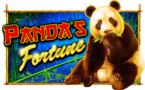 Pandas-Fortune